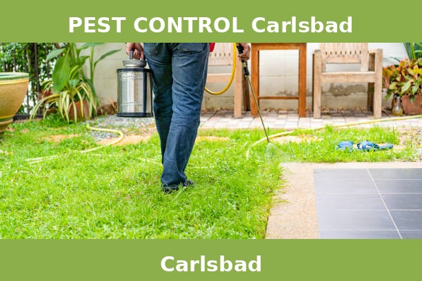 PEST CONTROL Carlsbad